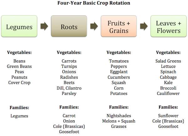 sample-crop-rotations-basic