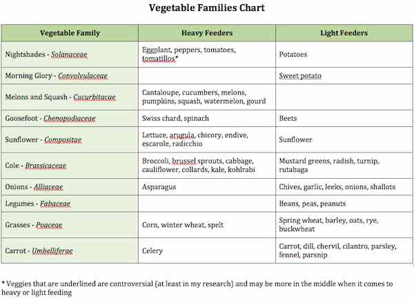 vegetable-families