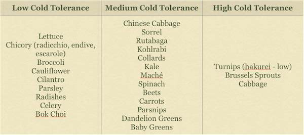 cold-tolerant-veggies-list